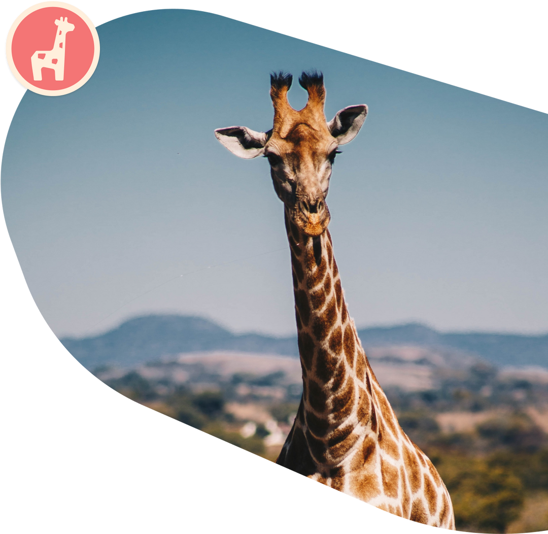 Fahlo The Trek Bracelet - Giraffe