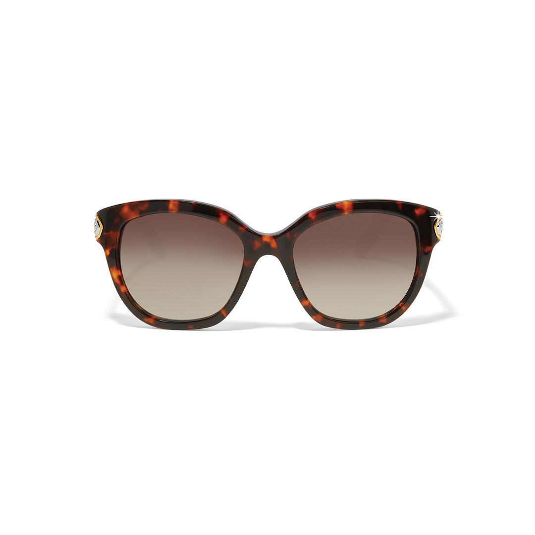 Brighton Intrigue Tortoise Sunglasses