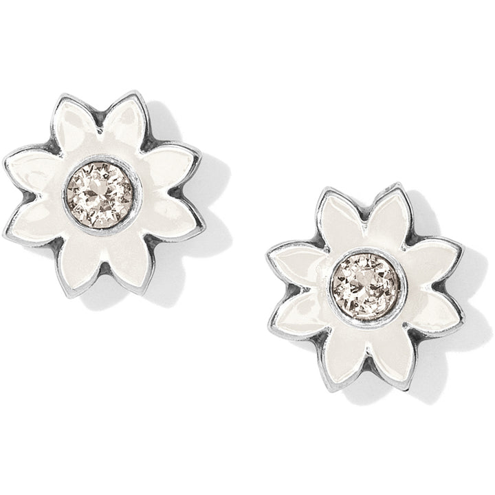 Brighton Jasmine Mini Post Earrings