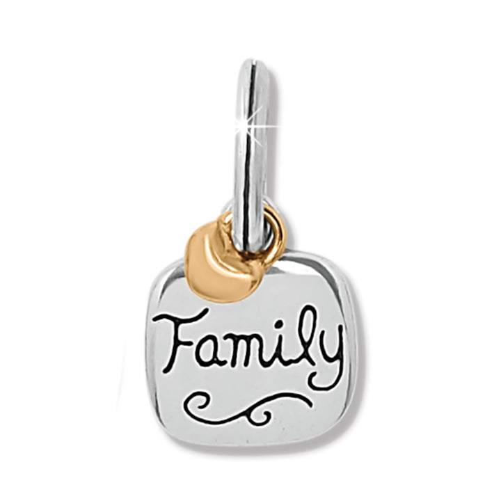 Brighton Family Love Charm