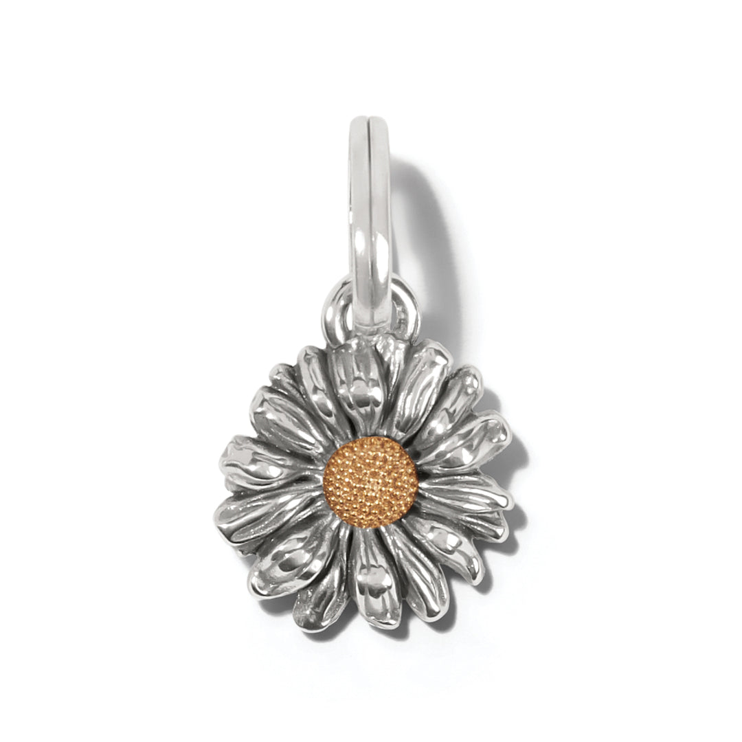 Brighton Daisy Dee Charm