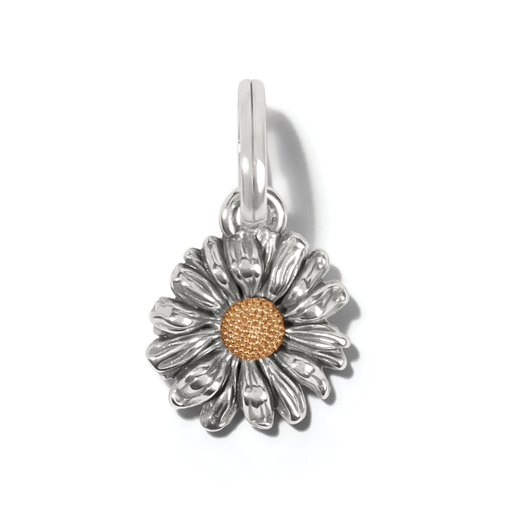 Brighton Daisy Dee Charm