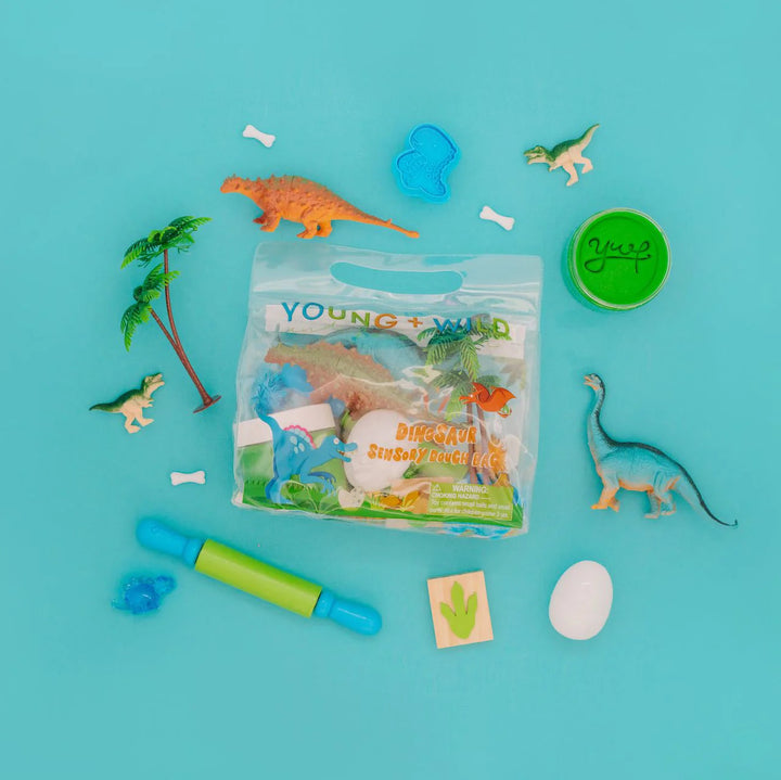 Young + Wild and Friedman Sensory Dough Bag - Dinosaur