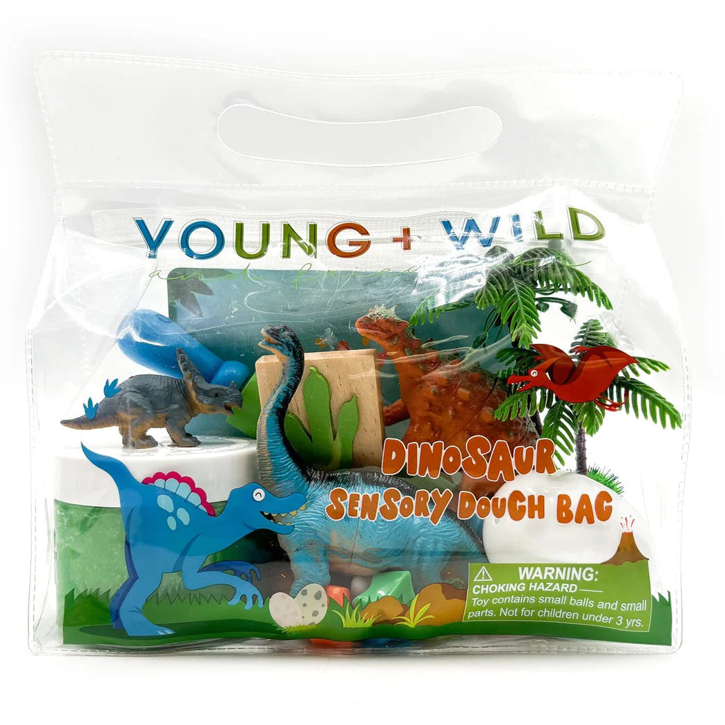 Young + Wild and Friedman Sensory Dough Bag - Dinosaur