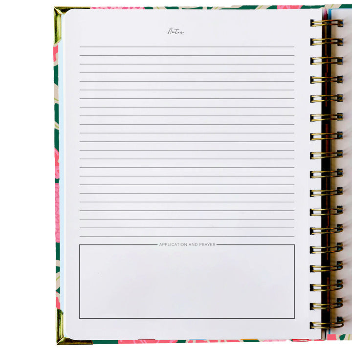 Mary Square Sermon Notes Meadow Moment