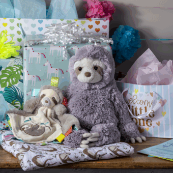 Taggies Character Blanket - Molasses Sloth