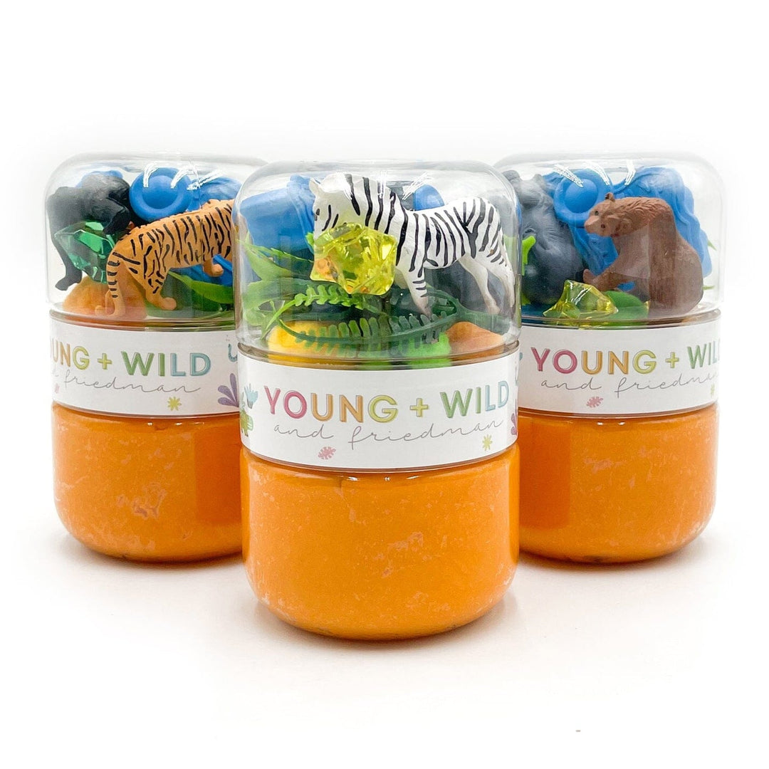 Young + Wild and Friedman Grab & Go Dough Jar - Zoo - WS