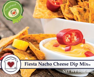 Country Home Creations Fiesta Nacho Cheese Dip Mix