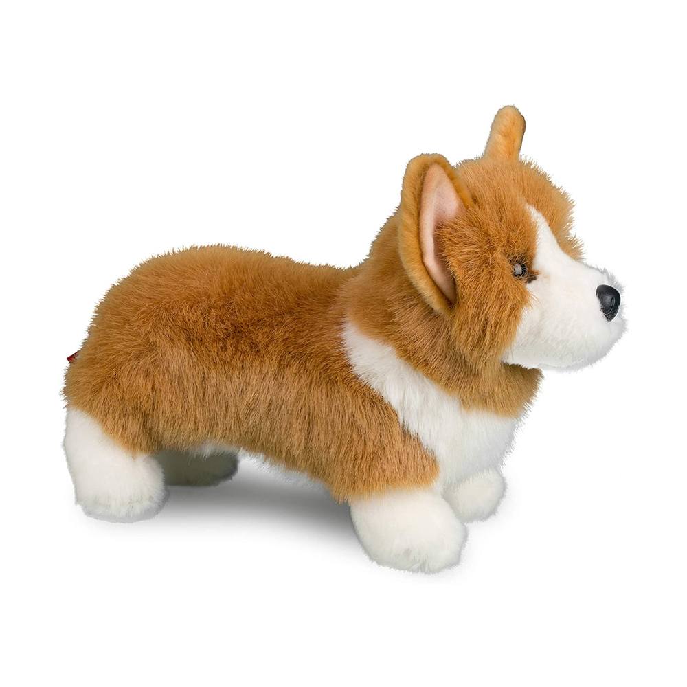 Douglas Louie Corgi