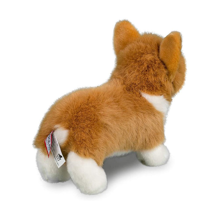 Douglas Louie Corgi