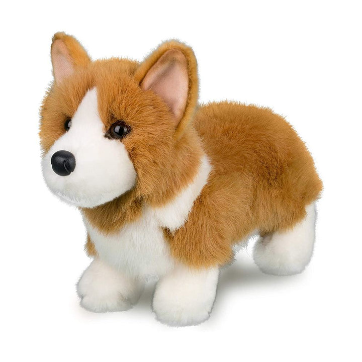 Douglas Louie Corgi