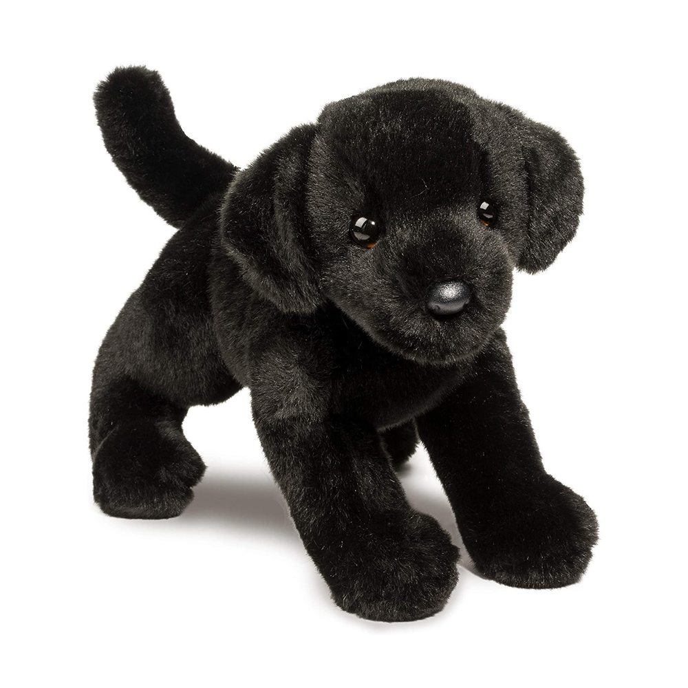 Douglas Brewster Black Lab