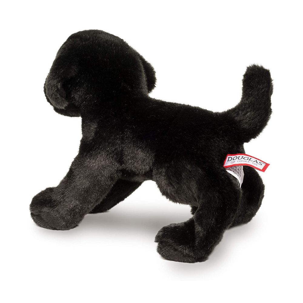 Douglas Brewster Black Lab