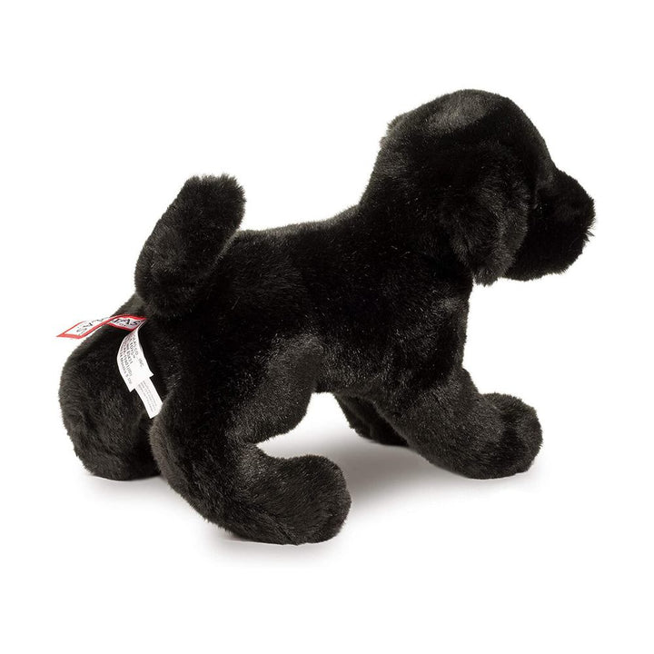Douglas Brewster Black Lab