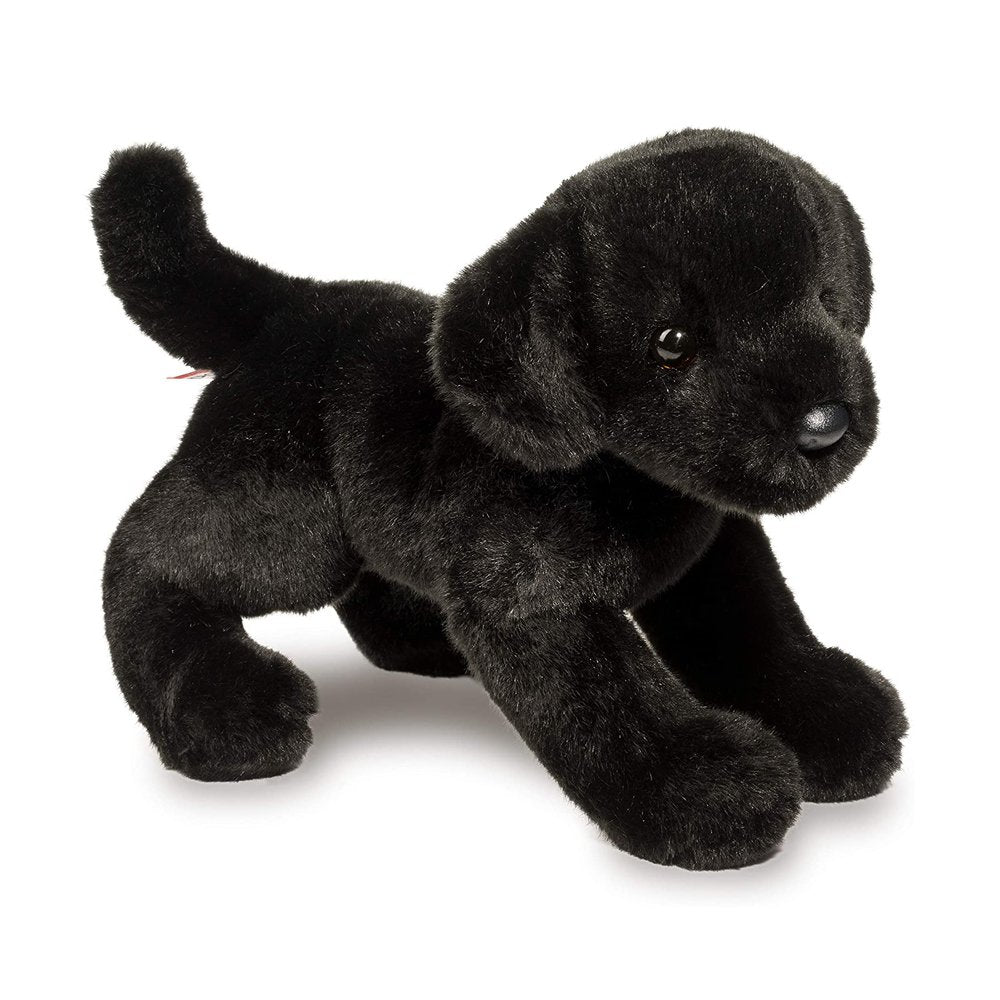Douglas Brewster Black Lab