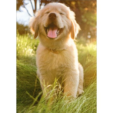 Avanti Press Golden Retriever Puppy Blank Card