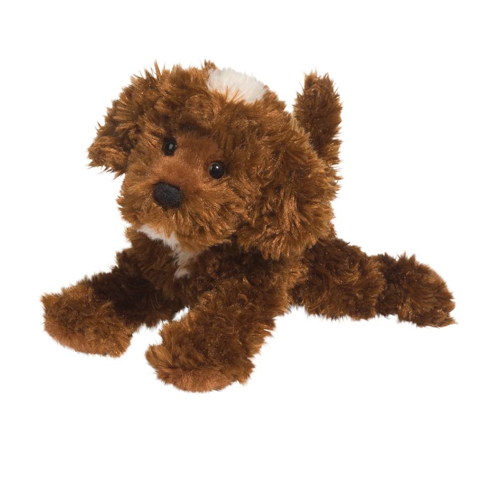 Douglas Bosco Chocolate Labradoodle
