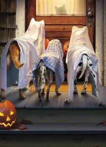 Avanti Press 3 Dogs Trick or Treating Halloween Card