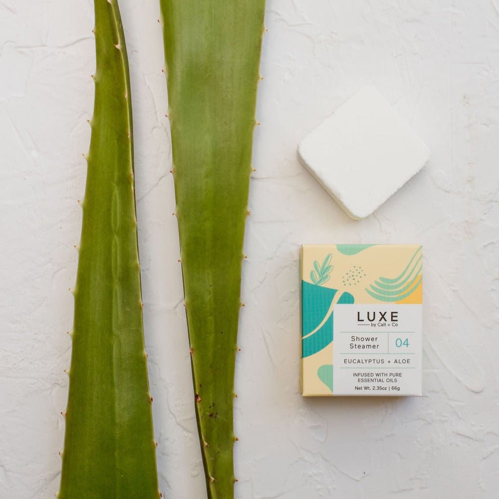 Aromatherapy Shower Steamer - Eucalyptus + Aloe