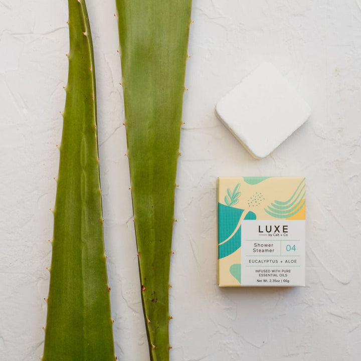Aromatherapy Shower Steamer - Eucalyptus + Aloe