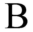 CE Embroidered Plush Throw - Letter B