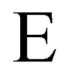 CE Embroidered Plush Throw - Letter E