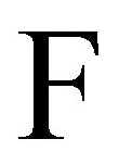 CE Embroidered Plush Throw - Letter F