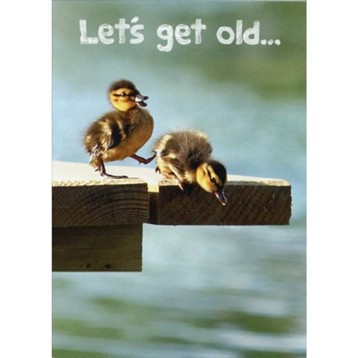 Avanti Press Ducklings On Dock Birthday Card