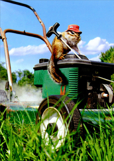 Avanti Press Chipmunk Lawnmower Father's Day Card
