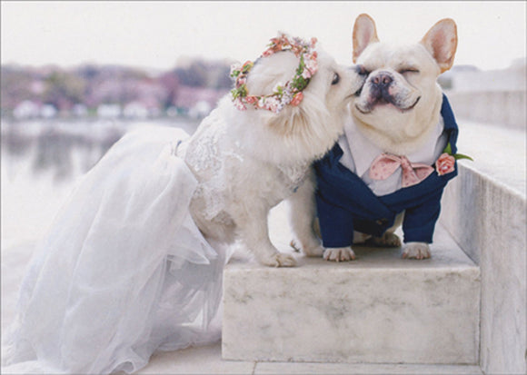 Avanti Press Wedding Dogs Card
