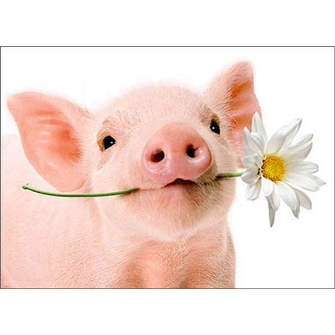 Avanti Press Pig Holds Flower Blank Card