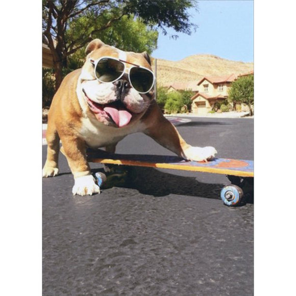 Avanti Press Bulldog Sunglasses Skateboard Birthday Card