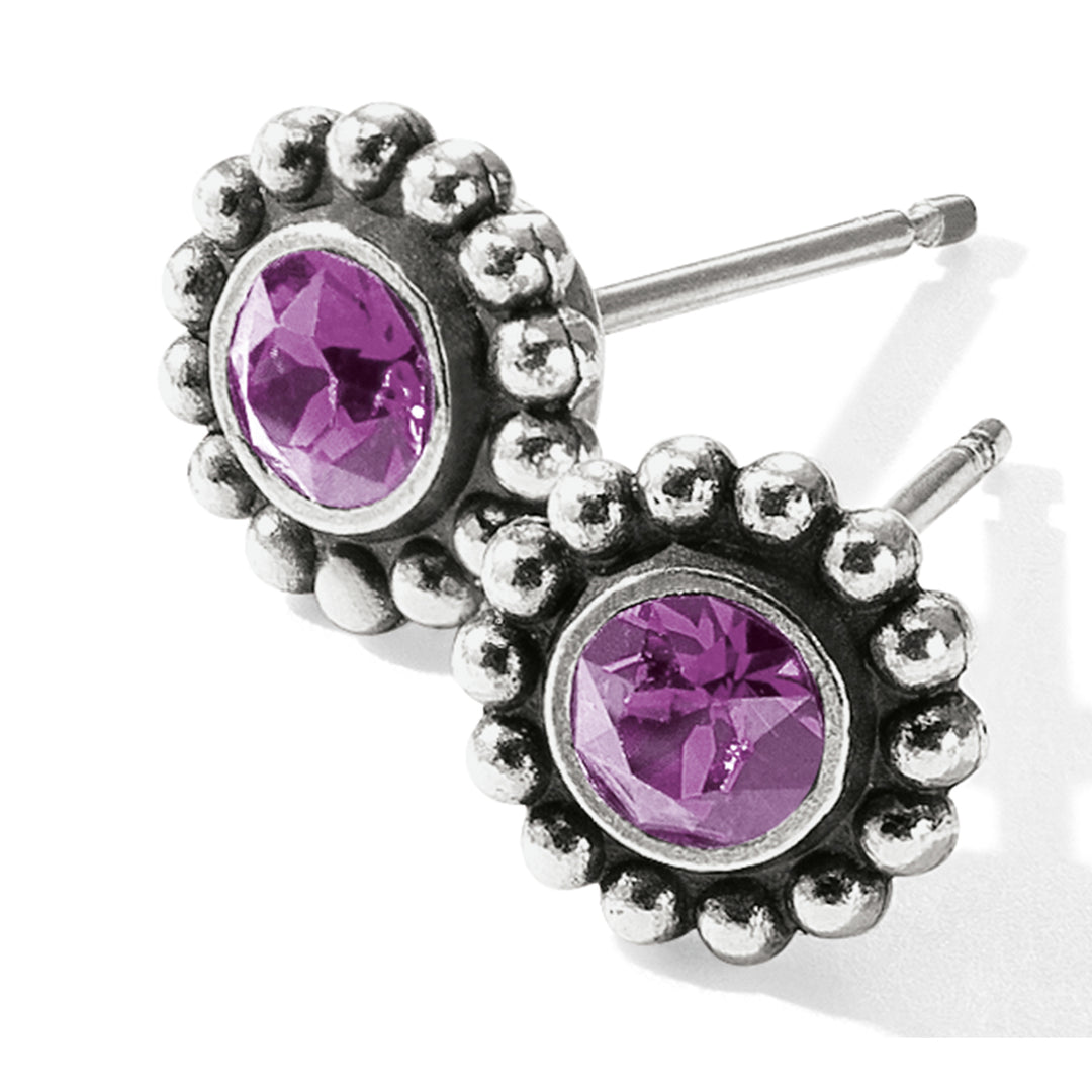 Brighton Twinkle Mini Post Earrings - Amethyst